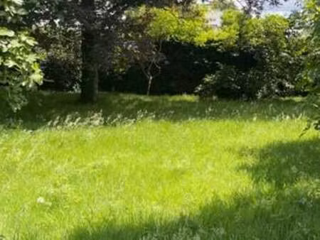 vente terrain à thorigné-fouillard (35235) : à vendre / thorigné-fouillard