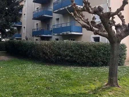 location appartement 3 pièces 56 m² à avignon (84000)  690 €