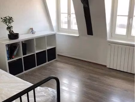 location appartement 2 pièces 48 m² à strasbourg (67000)  700 €