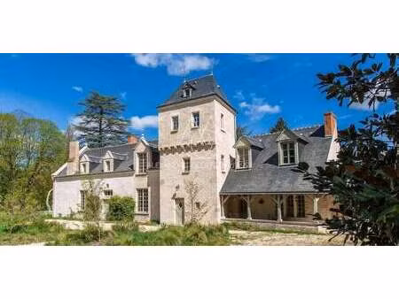château cellettes (41)
