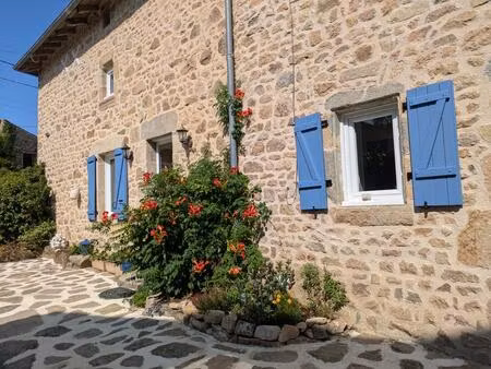 maison en pierre avec fort potentiel - 173m -3 chambres +2 mezzanines