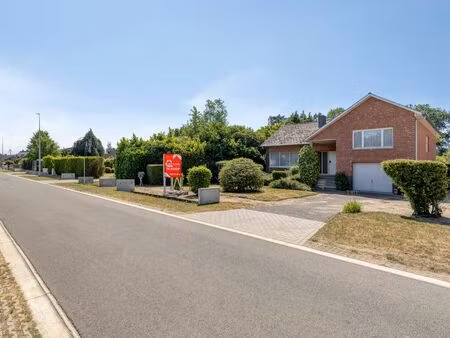 maison à vendre à olmen € 315.000 (lqh1m) - vast & goed makelaars | zimmo