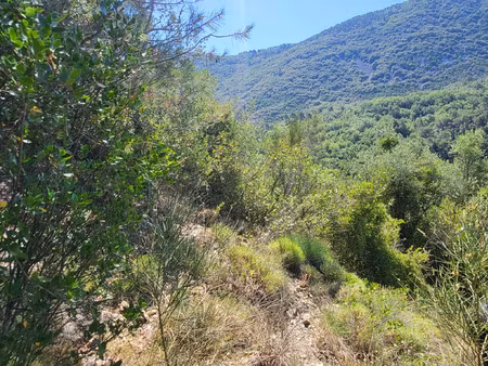 vente terrain 6696 m² peille (06440)