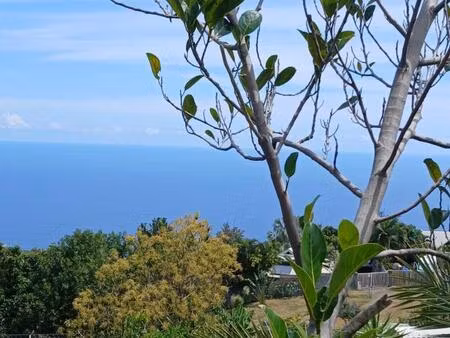terrain a vendre à piton st leu 1000 m²