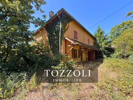 maison à saint georges d'esperanche - 8 pièces  245 m²  terrain 13 535 m²