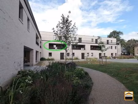 appartement à louer à borgloon € 745 (lqh3c) - het immohuis | zimmo