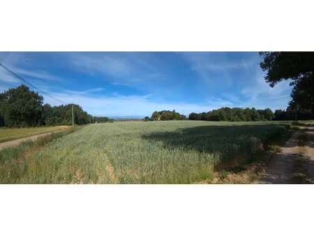 terrain à vendre roybon 8828m2 19 900€