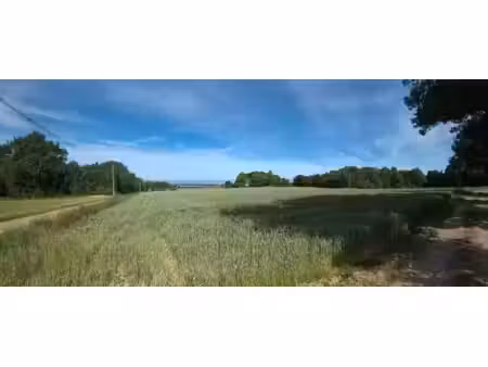 terrain à vendre roybon 12431m2 19 900€