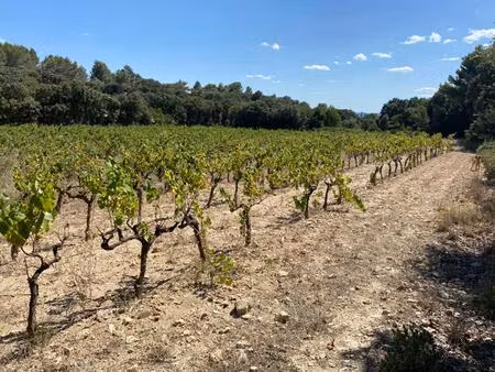achat terrain 6 566m² st hilaire d ozilhan 30210