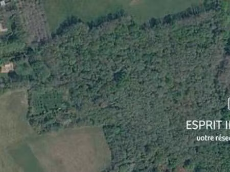 vente terrain à névez (29920) : à vendre / 35170m² névez