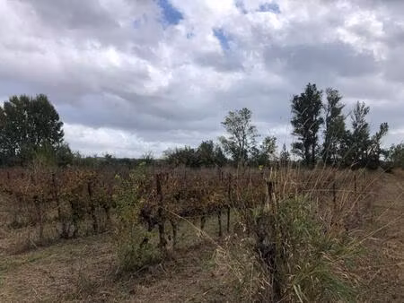 achat terrain 18 960m² castillon du gard 30210