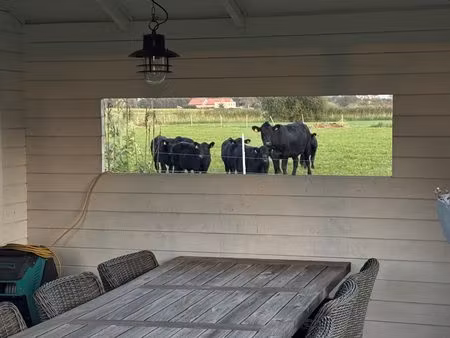 huis te huur in berendrecht met 4 slaapkamers