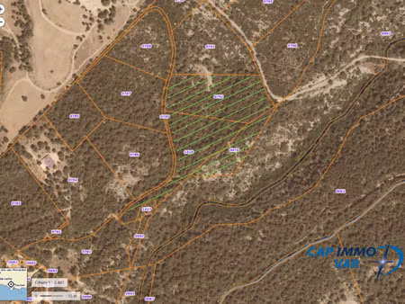 terrain forêt de 4 ha