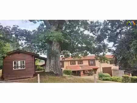 achat maison 13 pièces 315m² castelnau magnoac 65230