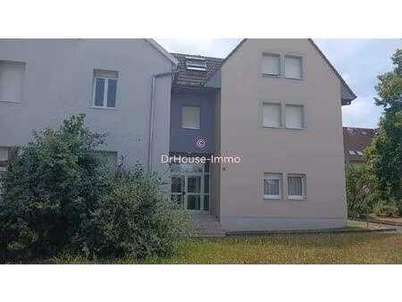 appartement t2 réparti sur 29.42 m2 carrez et 34.40 m2 habitables à rosenau avec cellier e