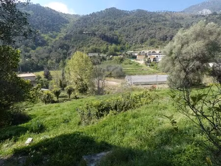 achat terrain 3 000m² gorbio 06500