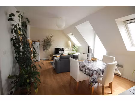 location appartement 3 pièces 45m²