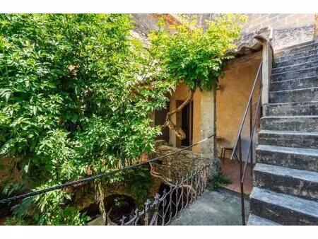 maison de village en pierre avec cour et terrasse à 7km d'uzès