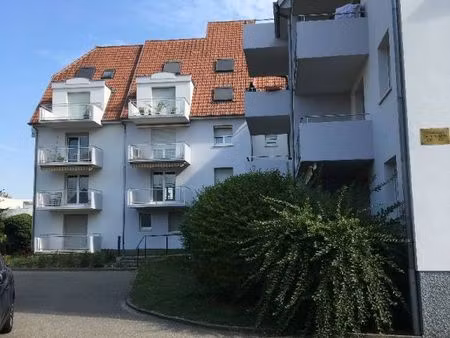 location appartement 2 pièces 50m²