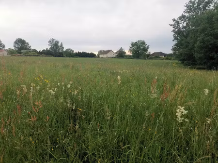 vente terrain 1800 m² peyrignac (24210)