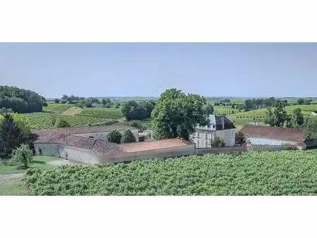 propriété juillac-le-coq (16)