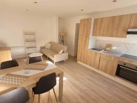 location appartement 2 pièces 45m² recquignies 59245