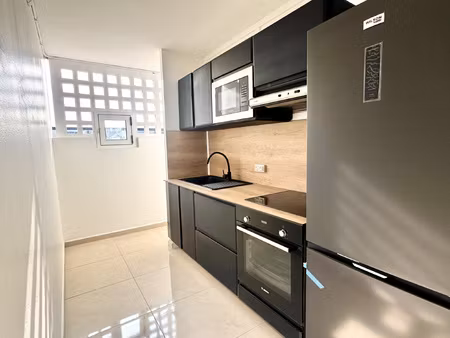 achat appartement 3 pièces 47m² les abymes 97139