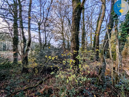 achat terrain 1 716m² monteneuf 56380