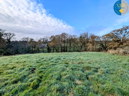 achat terrain 1 230m² monteneuf 56380