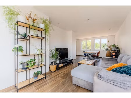 vente maison 4 pièces 125 m² à provin (59185)  346 500 €