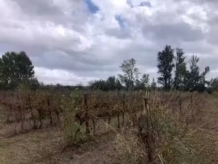 terrain castillon du gard 1ha 8960 m2 60000