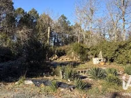vente terrain à hourtin (33990) : à vendre / 1000m² hourtin