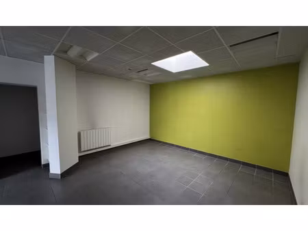 location local professionnel 82m² tours 37000