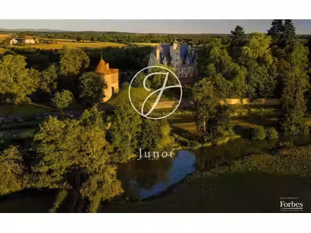 châtillon-en-bazois - bourgogne - 2 châteaux mh avec jardin à vendre.