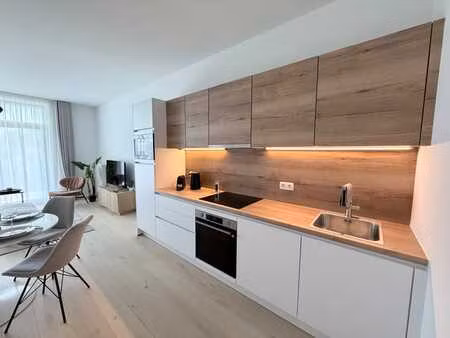 appartement neuf meublé  terrasse et vue parc