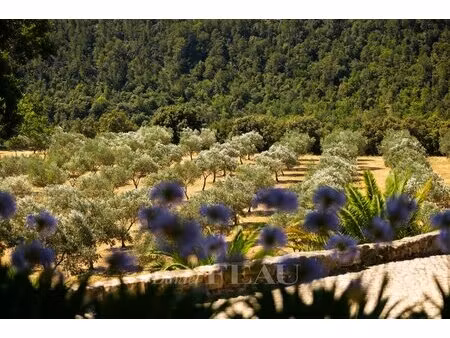 provence verte - propriété unique