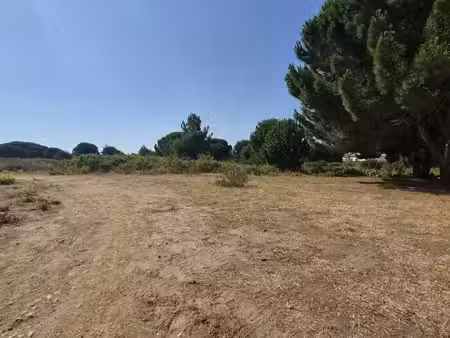 vente terrain 960 m²