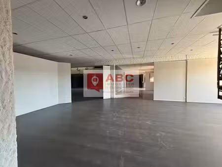 vente bureaux theza 66200 74m² à 470m²