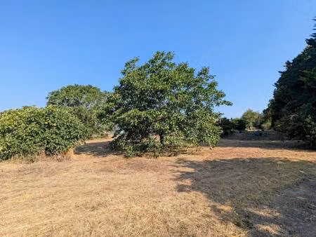 terrain constructible à vendre