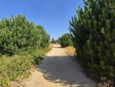 vente terrain à latour-bas-elne (66200) : à vendre / 343m² latour-bas-elne