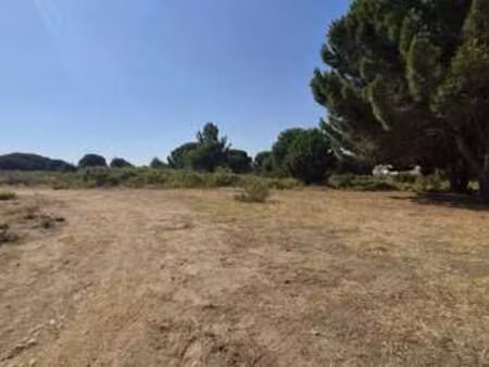 vente terrain à latour-bas-elne (66200) : à vendre / 960m² latour-bas-elne