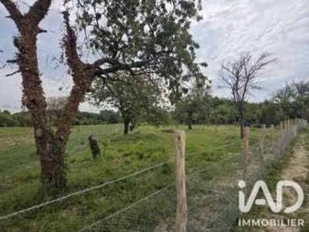 vente terrain à niherne (36250) : à vendre / 2246m² niherne