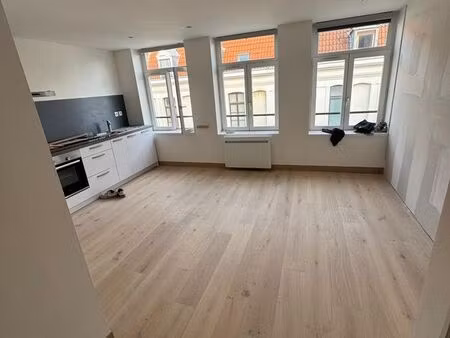vieux-lille – appartements entièrement rénovés – disponibles immédiatement – idéal résiden