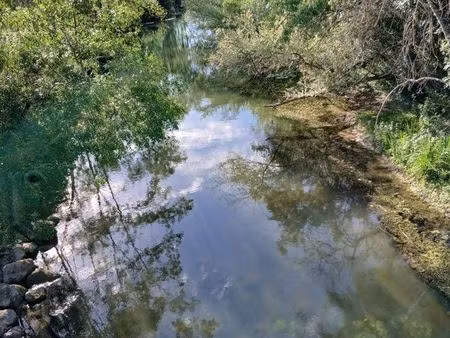2 euros / m² – coup de pêche au bord de l'indre + peupliers à exploiter