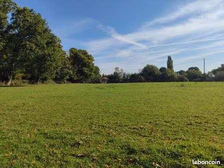 terrain 5 000 m² douville en auge