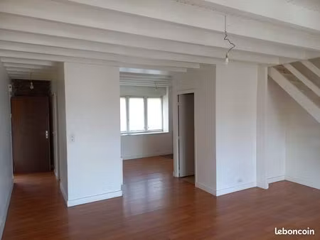 appartement duplex 3 pièces 69m2 (80 au sol)
