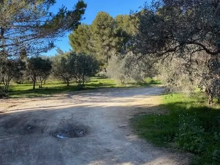 terrain 540 m² saint chamas