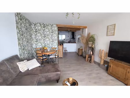 appartement t3 lumineux de 71 m2 avec terrasse cave et garag