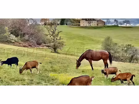 propriété avec piscine et jardin campagne (24)