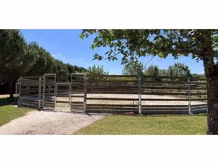 propriété avec jardin montpon-ménestérol (24)